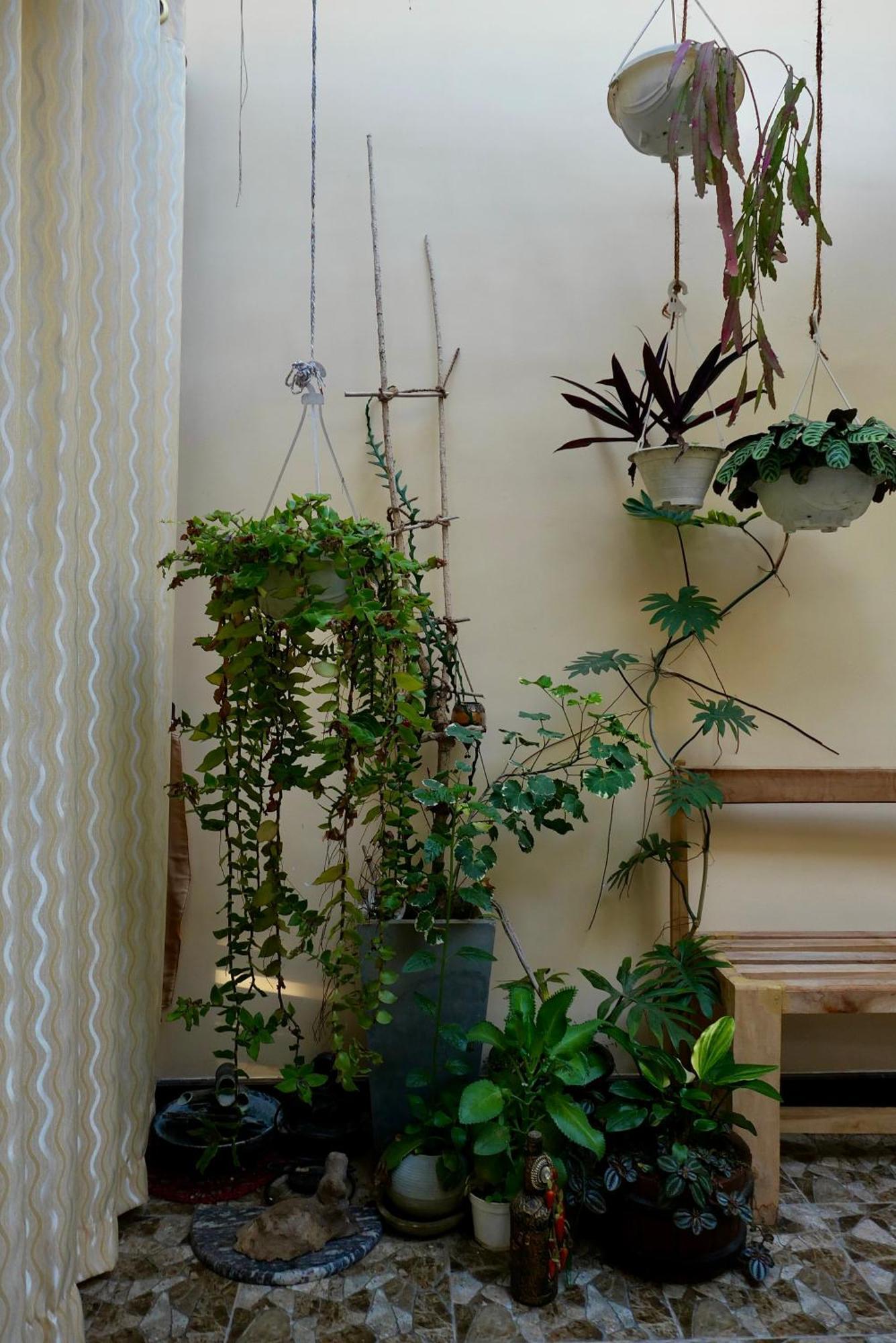 The Bliss Hostel *
